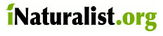 iNaturalist